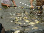DSCN3261.JPG