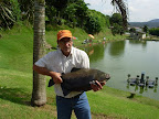 DSCN4262.JPG
