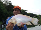 DSCF2511.JPG