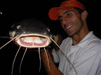 DSCN4244.JPG