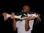 DSCN4246.JPG