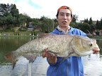 DSCF2294.JPG