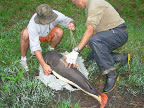 DSCN3969.JPG