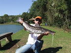 DSCF2249.JPG