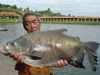 pantanosso0006.jpg