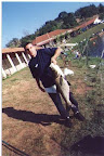 pantanosso0102.jpg