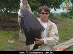 osat0036.jpg