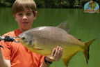 Pacu(4).jpg