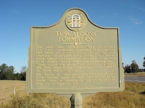 Imgp2316