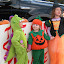 image_from_picasa