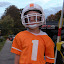 image_from_picasa