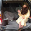 image_from_picasa