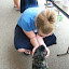 image_from_picasa