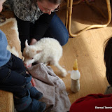 DSC01535.JPG