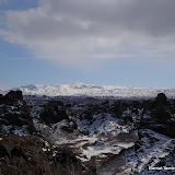 DSC01446.JPG