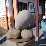 DSC01514.JPG