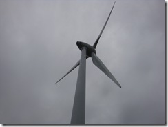 DSC00779