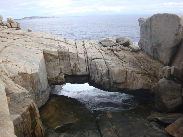 [DSC00822[2].jpg]