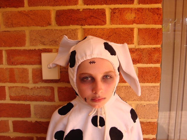[Dead cow[2].jpg]