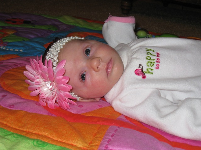 IMG_1829 IMG_1829