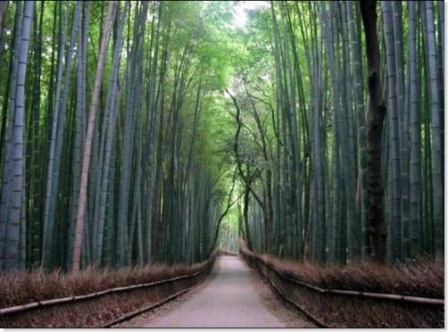 estrecho el sendero