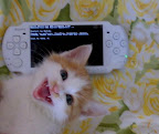 被低估了的TIFF漏洞，PSP3000宣告破解
