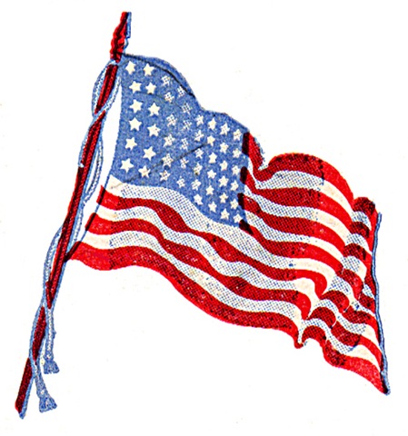 [american-flag-1[1][5].jpg]