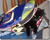 jelly bean in backpack