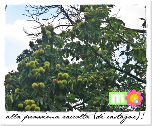 castagne