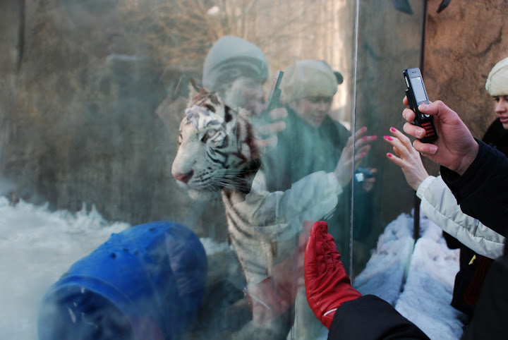 Re: Фотоохота, зоопарки и просто животинки из путешествий