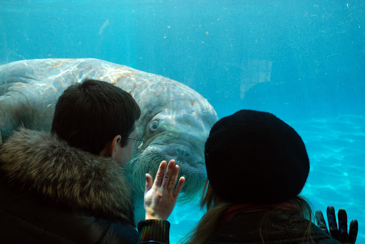 Re: Фотоохота, зоопарки и просто животинки из путешествий