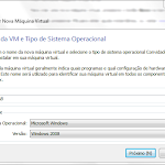 vb_novo_win2k8_02.PNG