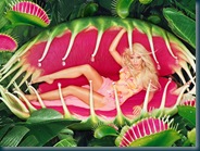 shakira hot wallpapers 1024x768 (1)