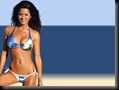 Brooke Burke Unique Desktop Wallpapers 12