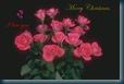 Christmas Love Cards 4 hollywood stars photos  