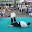  &ndash; 02-jul-2008