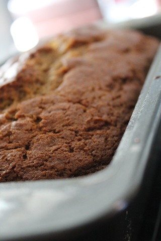 [20101230pumpkinbread0382.jpg]