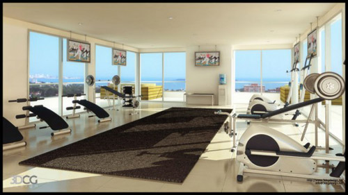 best ideas for house gym collection