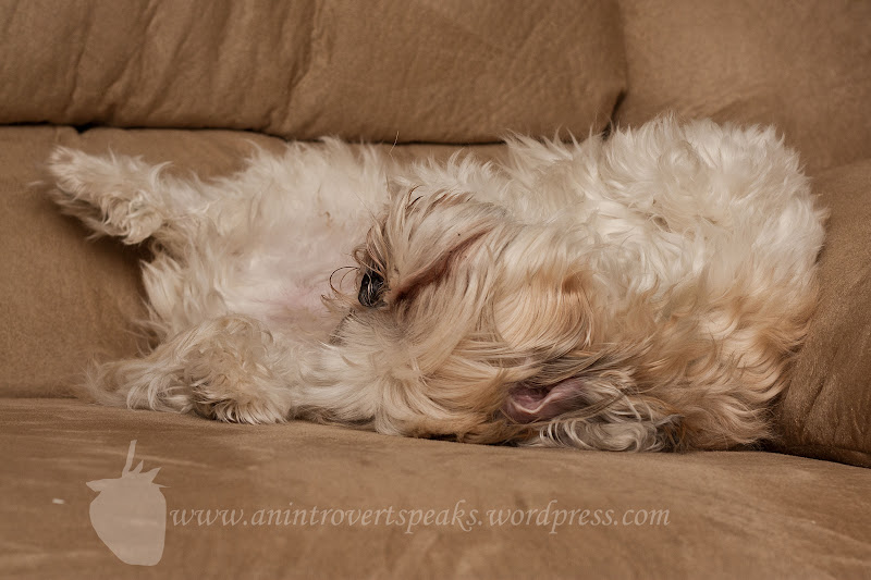 ISO: 200 Exposure: 1/160 sec Aperture: 5.0 Focal Length: 50mm Flash Used: Yes