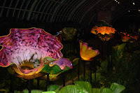 DSC00283.JPG