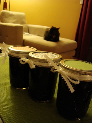 [homemadeblueberryjam2[5].jpg]