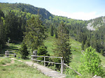 http://lh4.ggpht.com/_429O-23W9gQ/TckHk9PHpCI/AAAAAAAAAiM/v-d7XuAD3KI/VosgesEte2011%20027.JPG