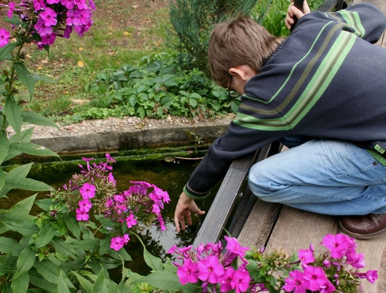 olgatt: Про лето