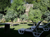 DSC00041.JPG