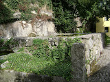 DSC00052.JPG