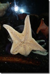 Denver aquarium 2011