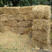 DSC01985.JPG