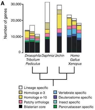 [daphnia_genome[5].jpg]