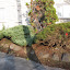 puu's sixty-fifth street garden