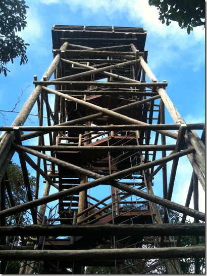 IMG_0474 IMG_0474